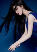 取保守的汽车制制商相